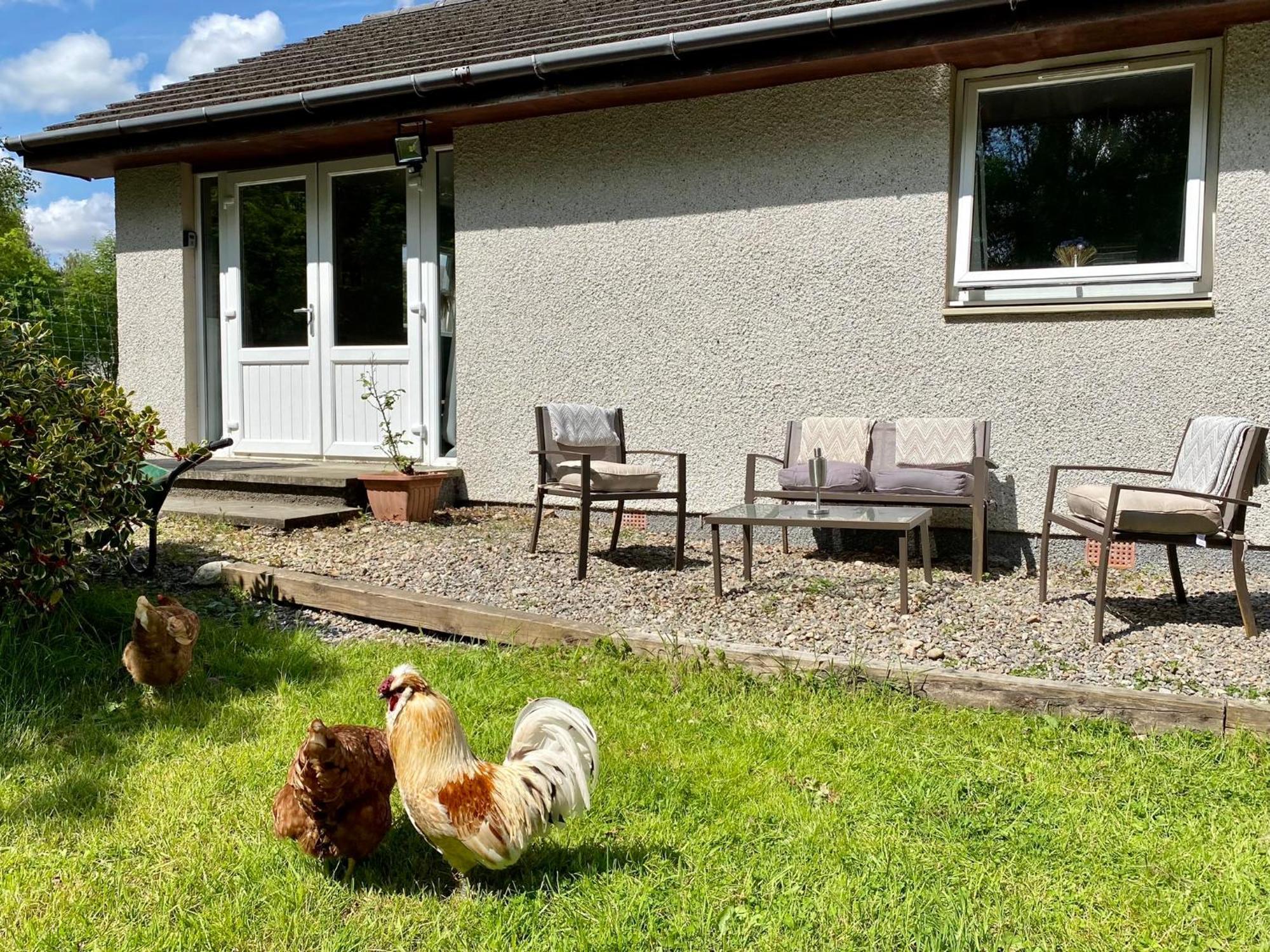 Homestead Cottage, Fort Augustus Luaran gambar
